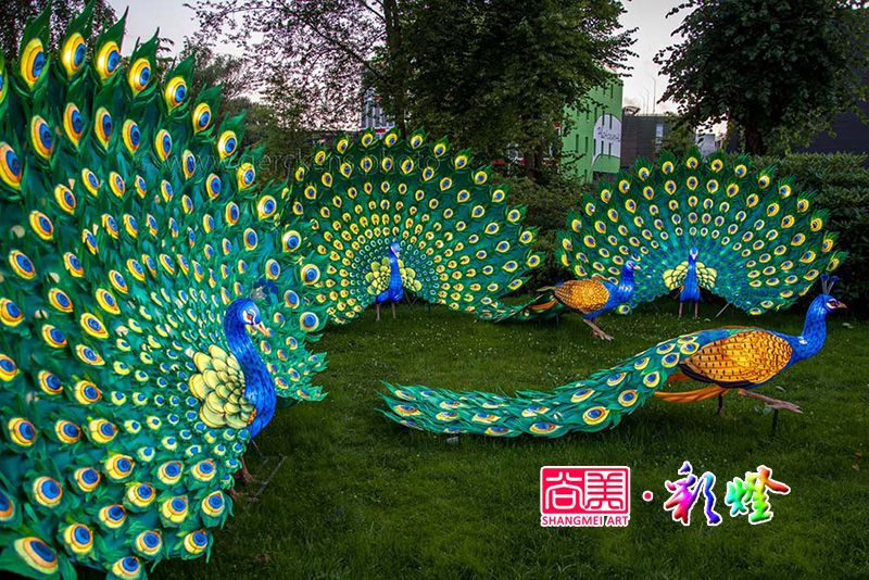 精品孔雀彩灯