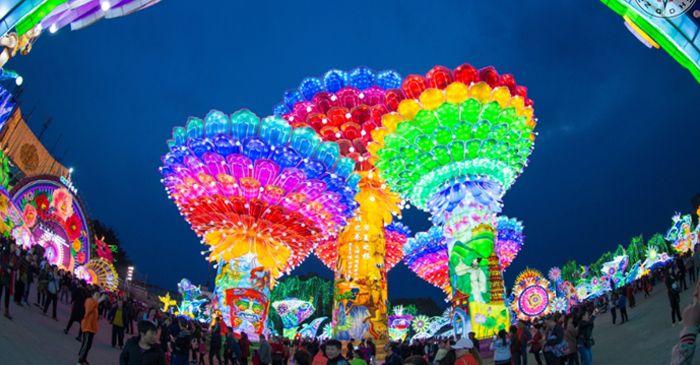 自贡第二十四届国际恐龙灯会图片欣赏