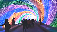LED满天星做时光隧道成为灯光节一大亮点