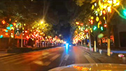 尚美彩灯公司城市亮化工程案例——行道树亮化